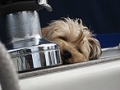 th_bild_111.jpg