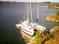 th_bild_52.jpg