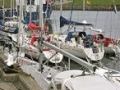 th_bild_84.jpg