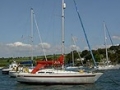 th_bild_86.jpg