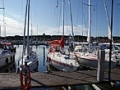 th_bild_98.jpg